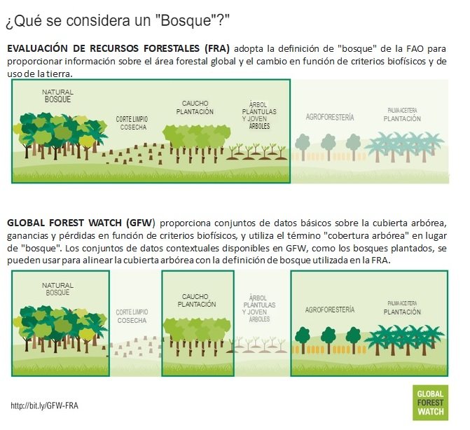 Divergencias y Complementariedades entre Teledetección GFW y FRA