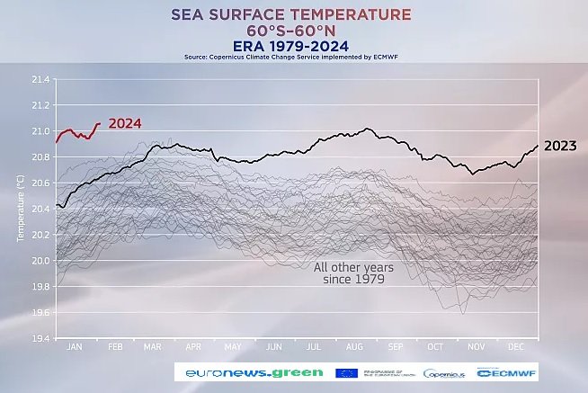 Temperatura Océano enero 2024